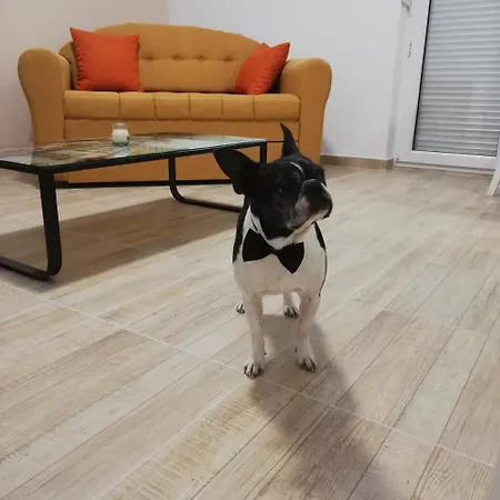 Apartamento Airport View *